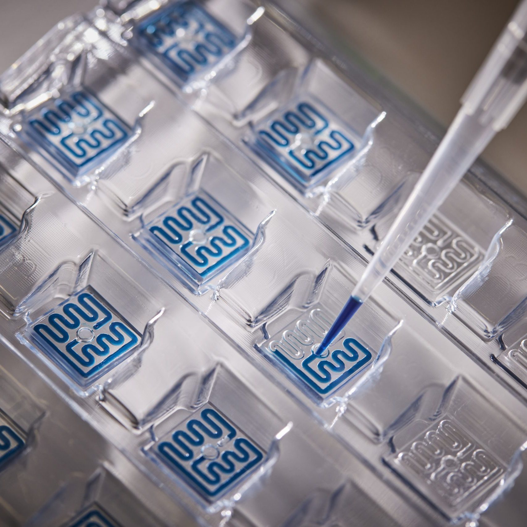 TA Instruments RS-DSC