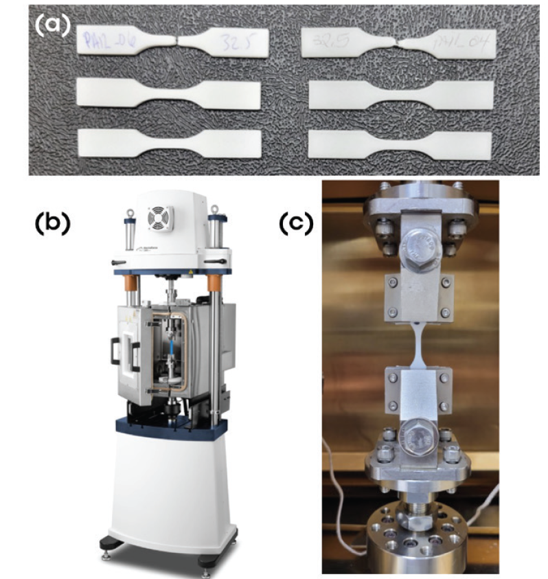 Figure 1. (a) PA12 (left) and PA11 (right) Type V dog bone samples intact and after failure, (b) ElectroForce 3300 instrument with a tensile configuration and temperature control system attached, and (c) representative Type V dog bone clamped in tension for monotonic and fatigue testing. 