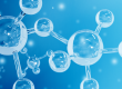 Small Molecule Thermal Analysis: The Fundamentals Series